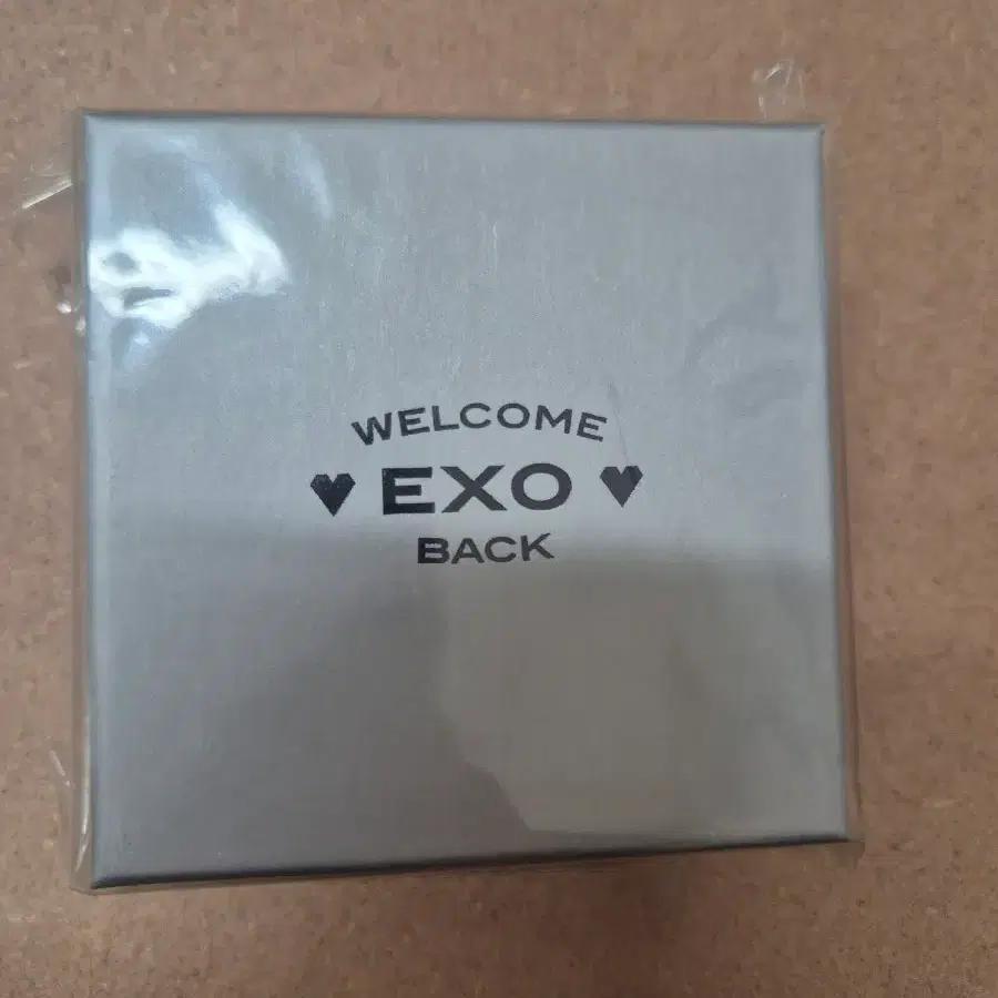 (sealed EXO Welcome Back Necklace & Tag Keyring Chen