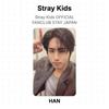 Stray Kids ОФИЦИАЛЬНЫЙ ФАН-КЛУБ STAY JAPAN Официальная фотокарточка