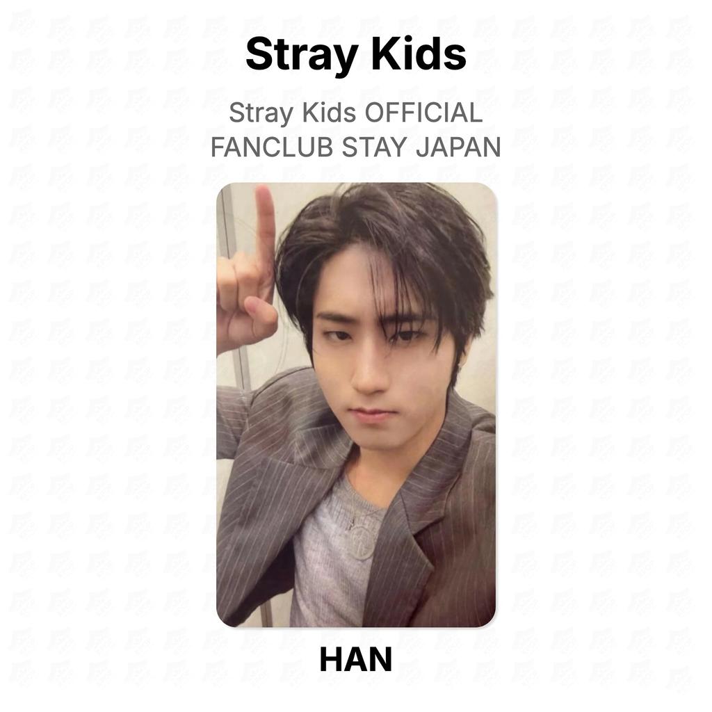 Stray Kids ОФИЦИАЛЬНЫЙ ФАН-КЛУБ STAY JAPAN Официальная фотокарточка