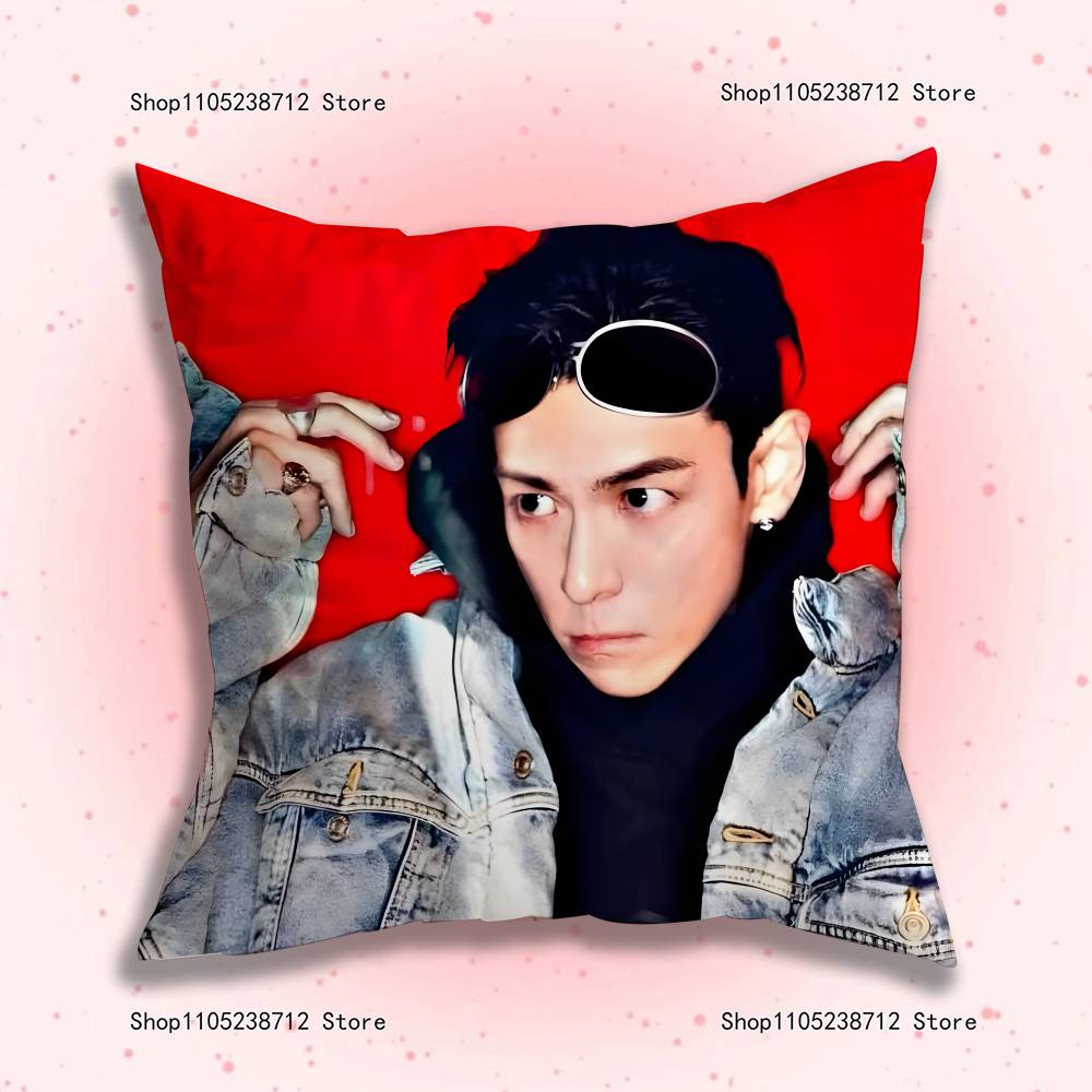 Pop Singer Choi SSeung HyunS Anime Pillow Case Antidustmite Pillowcase Invisible zipper silky short plush Sofa cushion cover