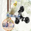 Parrots Grinding Scratcher Perch Stands Birds Stand Ceramics Stick Grinding with Suction Cup Paw Climbing Standing