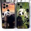 Подходит для чехла для мобильного телефона iPhone15Pro Max, чехла для мобильного телефона Cute Panda Planet, окрашенного и устойчивого к падениям.