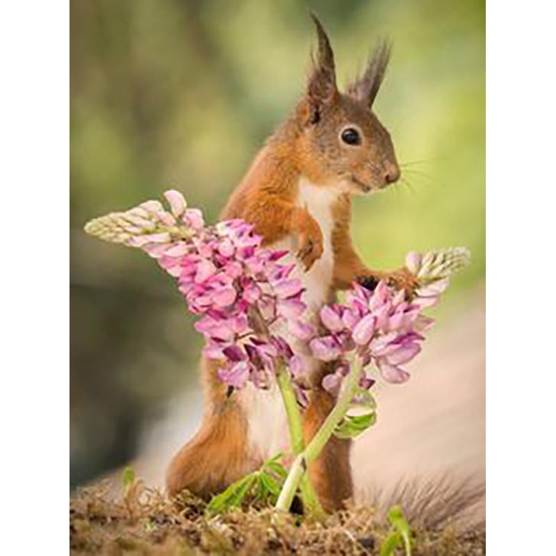 Кролик DIY 5D алмазная живопись полная круглая дрель животное Алмазная вышивка мозаика фермерский дом ручная работа настенное искусство домашний декор подарок