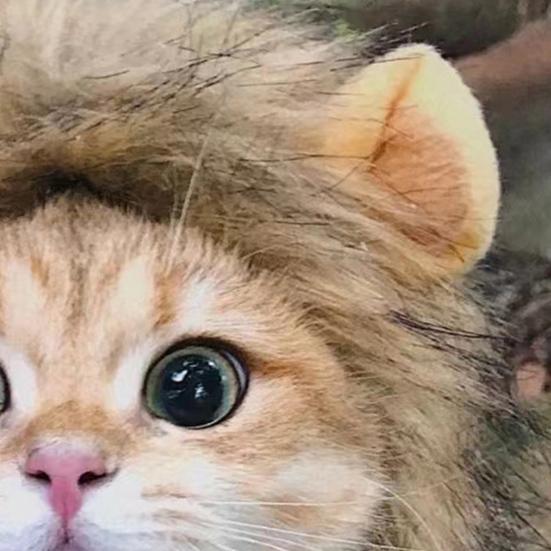 Halloween Cat Lion Mane Wig Costume Funny Lion Hair Pet Cosplay Outfit with Ear for Holiday Photo Shoot Party Dress-up Accessory