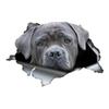 S60419# Gray Cane Corso Dog Sticker On The Car Vinyl Decal Waterproof Decoration Car Stickers