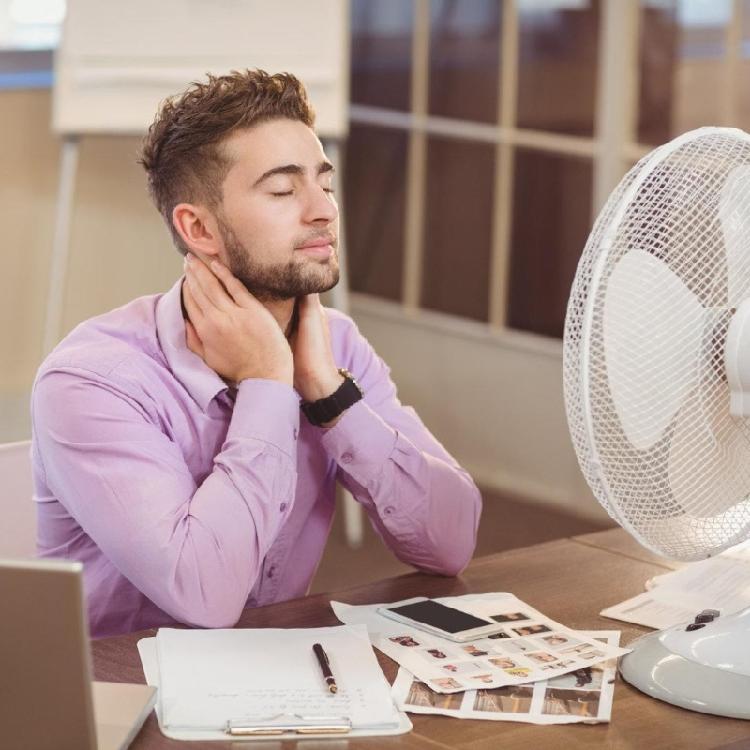 10 лопастей Лопасти вентилятора 10/12 дюймов Лопасти вентилятора Лопасти электрического вентилятора Лопасти настольного вентилятора Лопасти напольного вентилятора Аксессуары для вентилятора