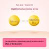 Slynn Folic Acid + B12 Supplements for Middle-Aged & Elderly