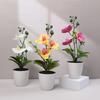 Artificial Butterfly Orchid Bonsai Silk Flower Potted Fake Plants For Home Garden Decoration Office Room Table Ornaments Wedding