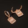 Lindon Copper Alloy Zircon Earrings Drop Earrings For Women Wedding Party Gifts
