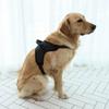 Dingdongpet Dog Mesh Basic Harness, Black