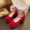 French Pink Retro Thick Heel Mary Janes Spring Autumn New Rubber Sole Polyurethane Heightening Women Shoes