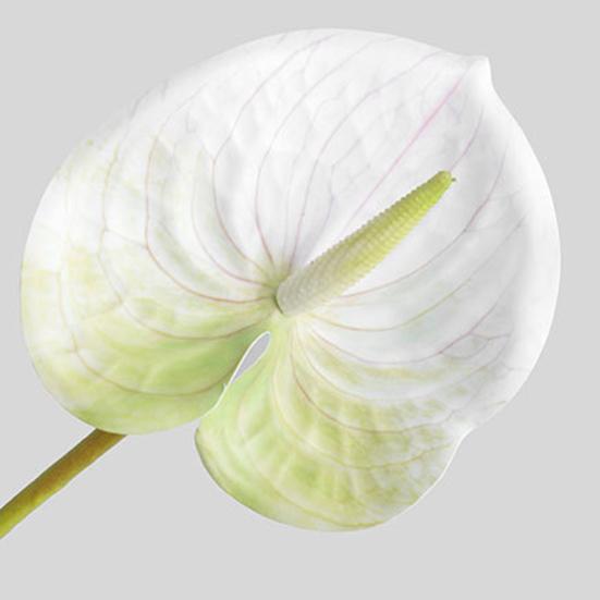 1 ветка искусственный цветок свежий художественный 3D-принт элегантный яркий искусственный антуриум