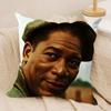 The SShawshank Redemption Cushion Cover Silky Short Plush Sofa Pillow Cover Hidden Zipper Soft Dustproof Case for Home Decor
