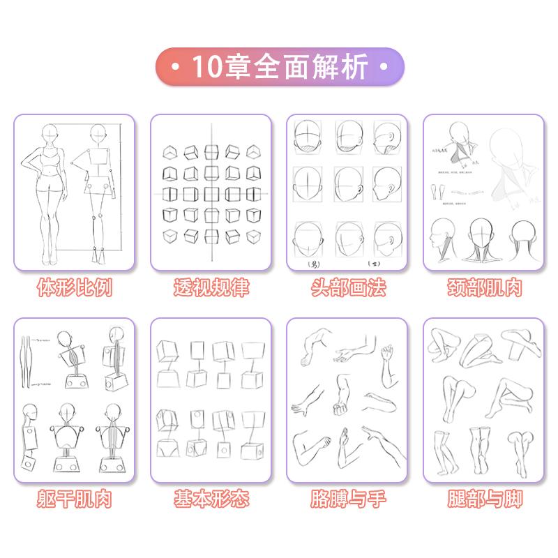 Аниме Персонажи Трассировка Эскиз Ручная Роспись Учебное Пособие Структура Человеческого Тела Практика Копирования Линии Черновик Практические Книги
