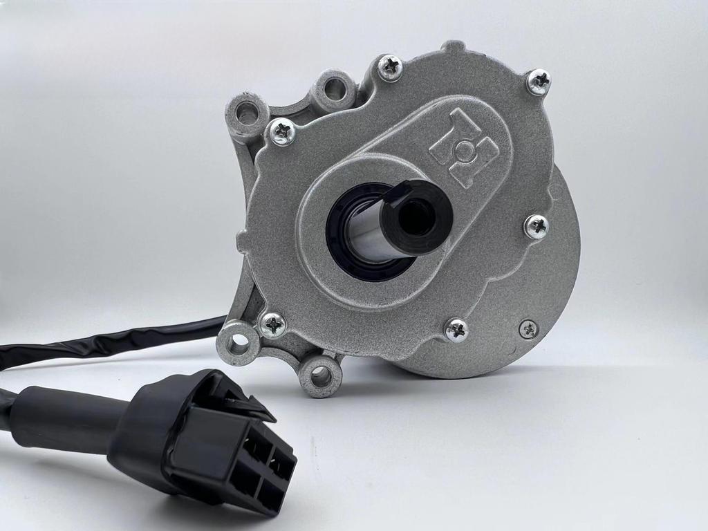 MY1016Z H250W24V75 Двигатель с постоянным магнитом для детского пляжного автомобиля