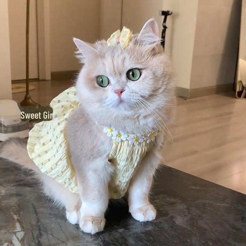 Юбка-кошечка весна/лето: Платье с градиентом против выпадения шерсти для кошек и щенков