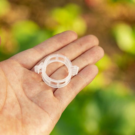 100 шт. зажимы для поддержки растений, экономящие трудозатраты, долговечные пластиковые подвесные зажимы для фиксации лозы для дома