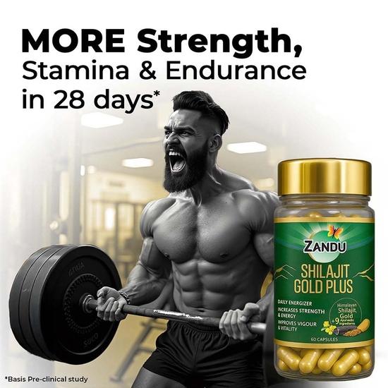 Zandu Капсулы мумие, наполненные полезными свойствами натуральных экстрактов мумие, помогают повысить иммунитет - 60 вегетарианских капсул