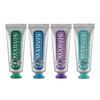 Mavis Toothpaste 25ml 4 Types (choose 1)