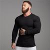 Spring and Autumn Knitted Gym Clothing Men Fitness Slim Fit Sports Long Sleeve T Shirt Fashion Tops