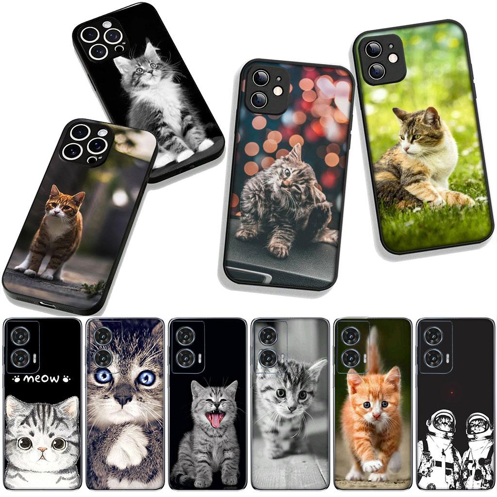 Чехол для Apple iPhone 16 15 14 Plus 13 12 Mini 17 Pro Max + ProMax 16E Air 16+ 15+ Coque Чехол для телефона Котенок Кошка