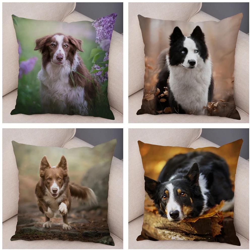 Soft Plush Cute Pet Animal Cushion Cover Scotland Border Collie Pillowcase for Sofa Car Decor Dog Printed Pillow Case