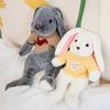 15 Styles Soft Rabbit Cute Dolls Plush Toys Kids Stuffed Animals Baby Long Ear Bunny Sleeping Plushie Toy Birthday Gift