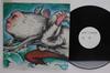 Виниловая пластинка OKKERVIL RIVER  Down The River Of Golden Dreams JAG54 JAGJAGUWAR 2003 США Рок Б/у