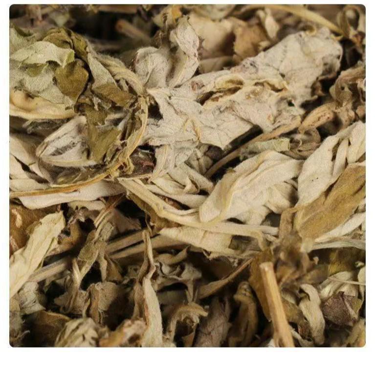 Mugwort Foot Soak Bags - Wild Pure Mugwort Blend (500g) for Relaxing Foot Bath