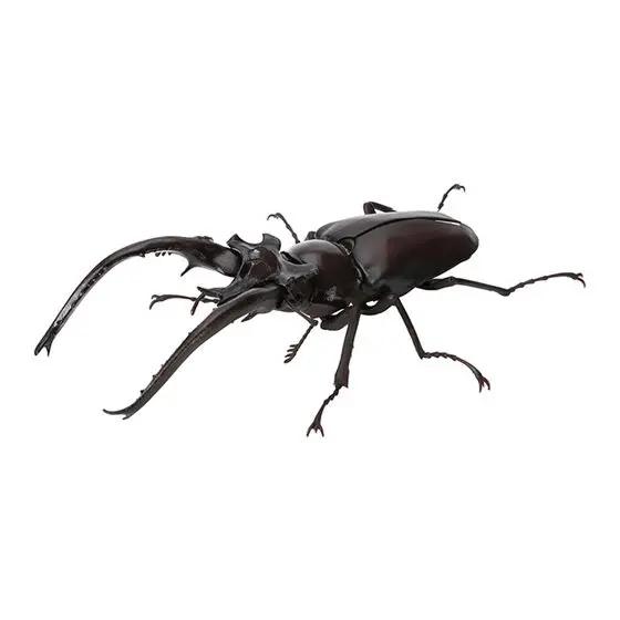Genuine Gacha Scale Model Biological Cognitive Model Antler Beetle Simulated Moving Insect Action Figure Toys
