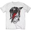 Унисекс футболка David Bowie — это винтажная повседневная футболка и роскошный бренд группы для унисекс и женской одежды. Топ 2026 Группа