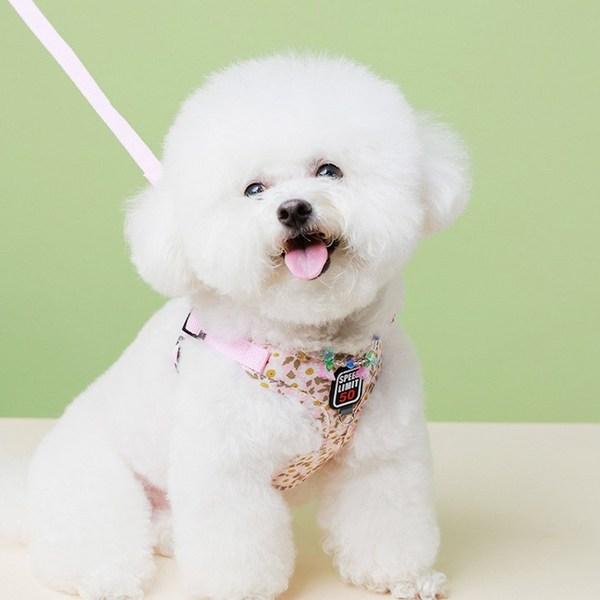 Шлейка для собаки, нагрудный ремень, поводок, предотвращающий разрыв, маленькая собака, розовый, 1 комплект