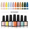 PHOENIXY 12 Colors Gel Nail Polish Set Soak Off Gel Set with Pure Color for Nail Art Design Starter Kit for Beginner DIY At Home