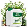 Nawóz Z Pokrzywy Stymulator Do Pomidora Ogórka Naturalny Biovita 5L