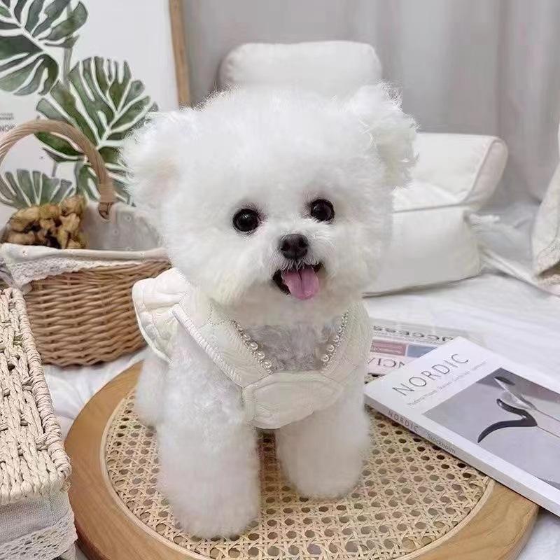 Pet clothes autumn and winter new velvet small fragrant style bow skirt teddy bear dog cat coat