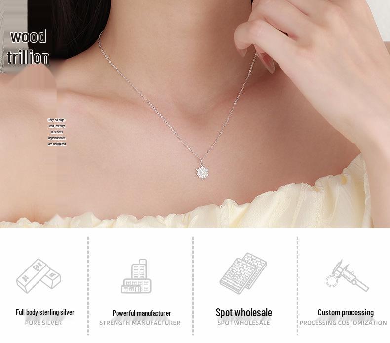 Ожерелье из стерлингового серебра с бриллиантом в виде снежинки - Высококлассная ключичная цепочка с кулоном нишевого дизайна, чокер