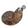 Подвеска из ракушки аммонита, ручная работа, винтажная подвеска из натурального аммонита для женщин и мужчин, подарок