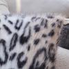 Pink Leopard Print Pillow Case Living Room Sofa Cushion Model Room Light Luxury Hotel B&B Bay Window Cushion Does Not Contain Core