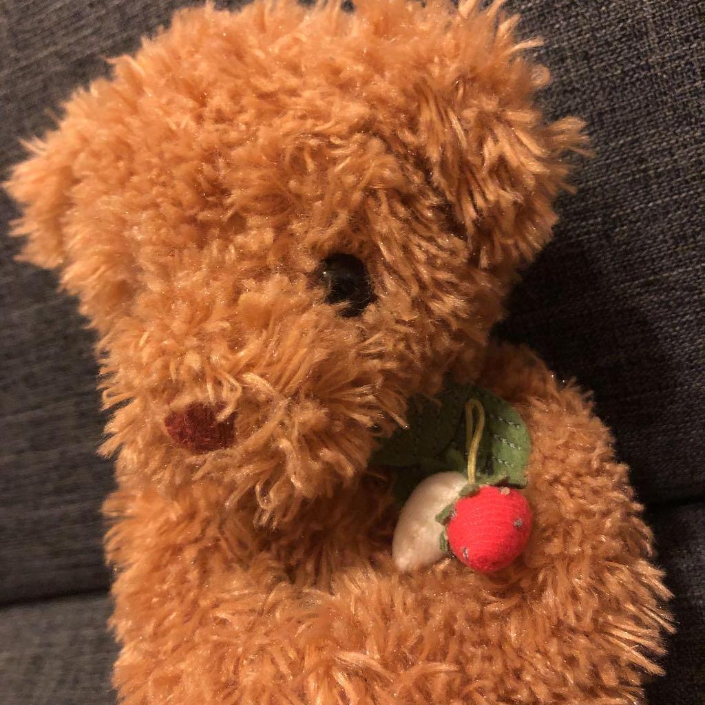 [USED] Teddy bear music box stuffed toy bear