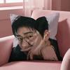 Чехол на подушку Z-ZICO SINGER для разных ситуаций, для дома и автомобиля - Двусторонний, Мягкий и Прочный для ежедневного использования