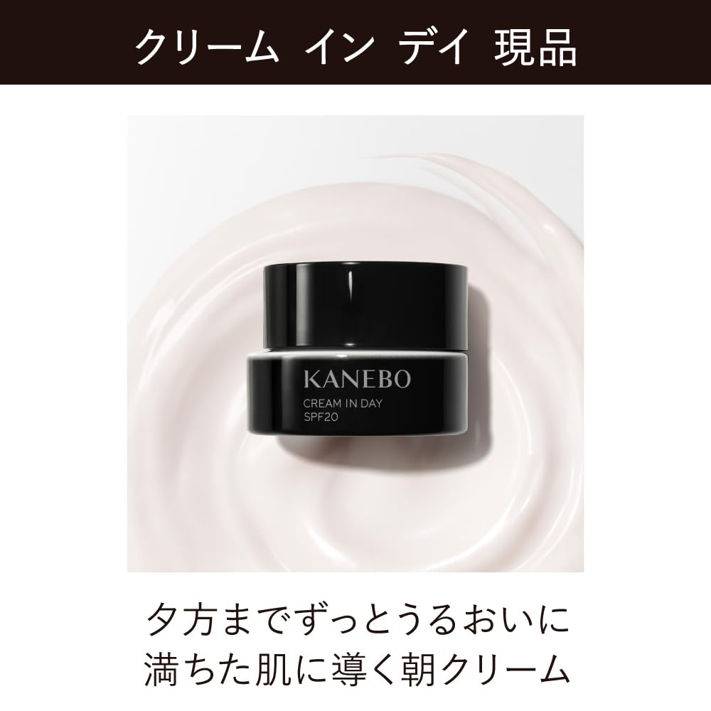 KANEBO Kanebo Крем Дневной 40г (х 1)