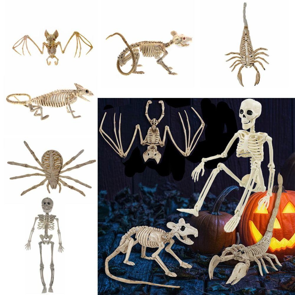 Skeleton Model Halloween Animal Skeleton Bat Mouse Lizard Scorpion Halloween Bats Skeleton Home