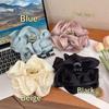 Korean Style Pleated Cloud Crab Claw Hair Clip Mesh Flower Bud Hair Clip Shark Clip Women Accessories