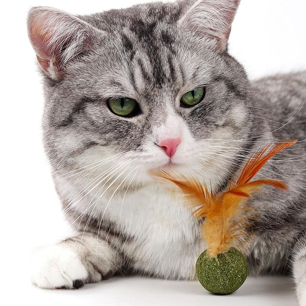 1 шт. Мятный шарик для кошек с перьями, шарик с кошачьей мятой, самоочищающийся, для стачивания зубов, шарик-перо, игрушка-шарик, игрушки для питомцев, товары для кошек, инструмент для чистки питомцев