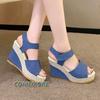 Casual Wedges Shoes for Women Sandals Summer Fish Mouth Slope Heel Ladies Shoes Platform High Heels Designer Sandal Comfort 2024