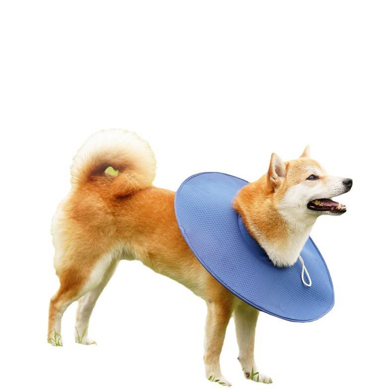 Дышащий влагопоглощающий сетчатый собачий елизаветинский воротник: Анти-Укус и Анти-Лизание