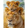 5d DIY Алмазная картина вышивка крестом животное лев алмазная вышивка мозаика круглая дрель домашний декор ремесла