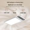 MICOE Graphene Ceiling Mount Bathroom Heater