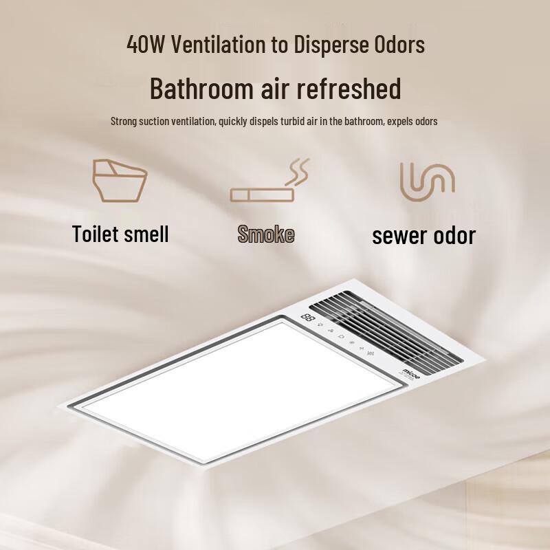 MICOE Graphene Ceiling Mount Bathroom Heater
