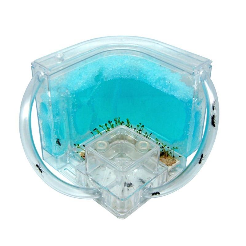 Interest Cultivate Ant Farm Tower Parents And Children Educational Toys